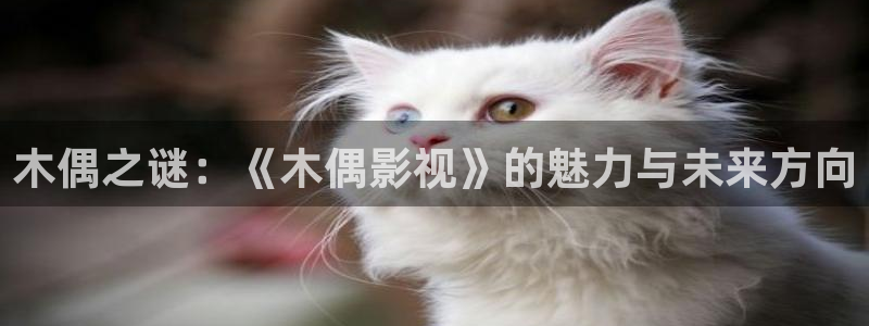 亚洲第一男人影院