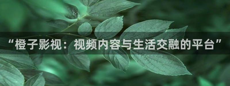 长相思第一季免费观看西瓜影院