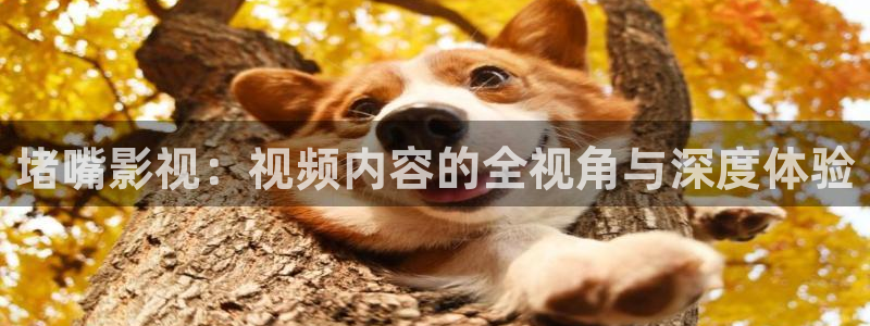 第一次影院